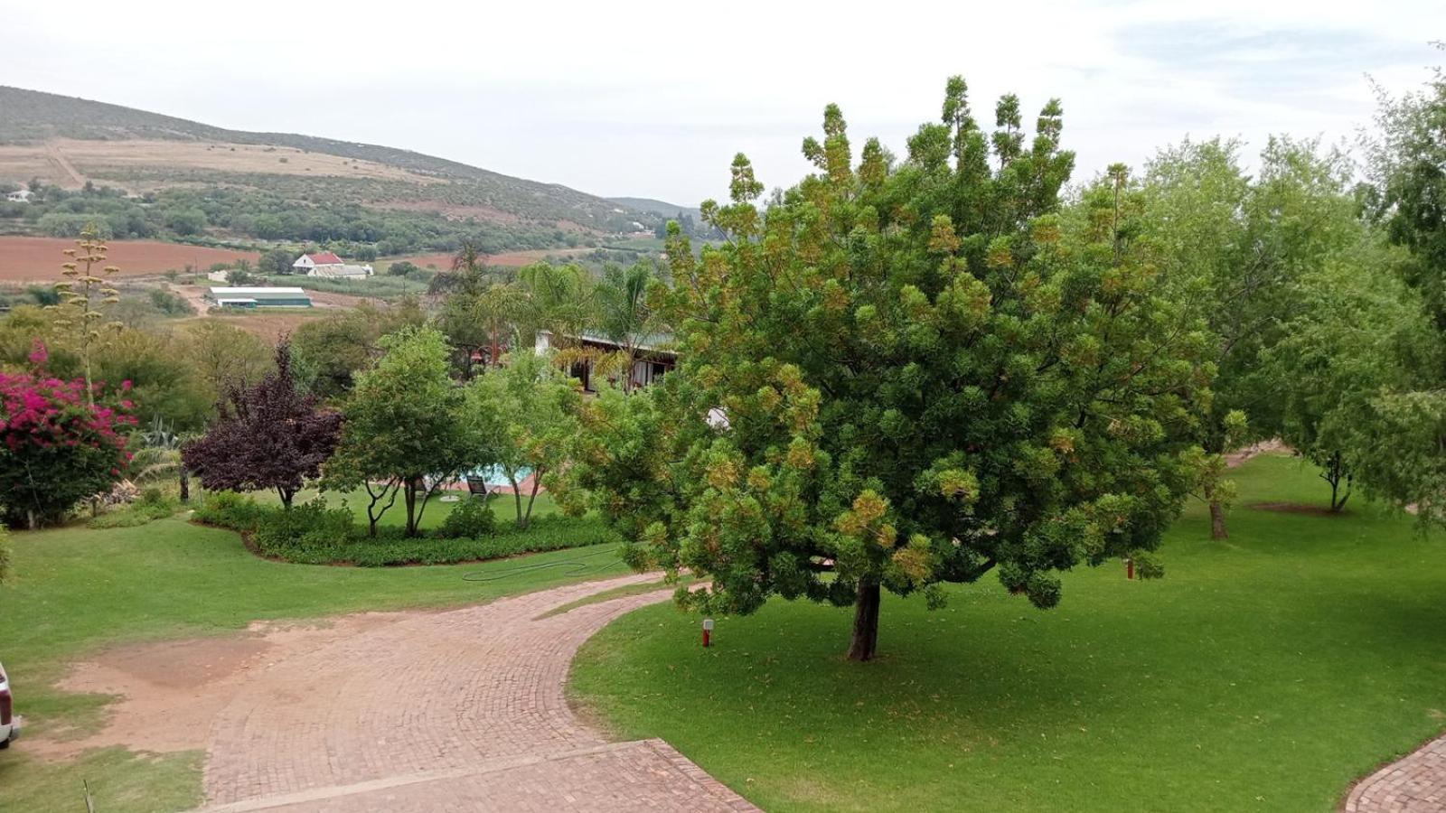 Kranskloof Country * Oudtshoorn
