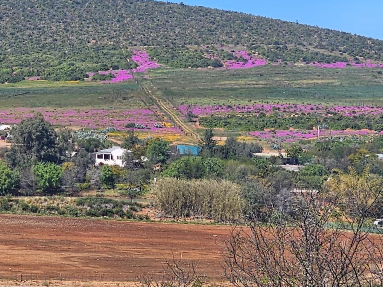 Kranskloof Country Lodge Oudtshoorn